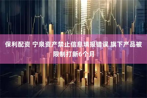 保利配资 宁泉资产禁止信息填报错误 旗下产品被限制打新6个月