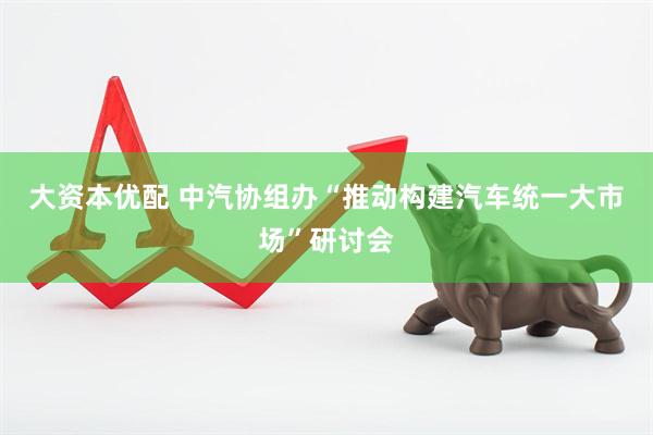 大资本优配 中汽协组办“推动构建汽车统一大市场”研讨会